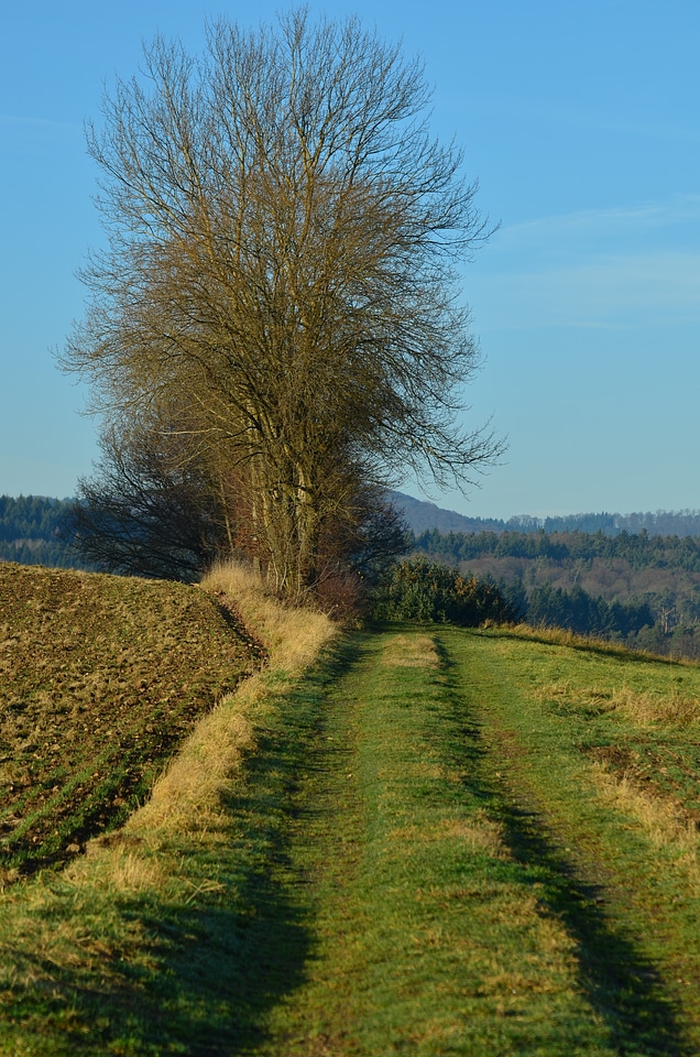 Away landscape nature