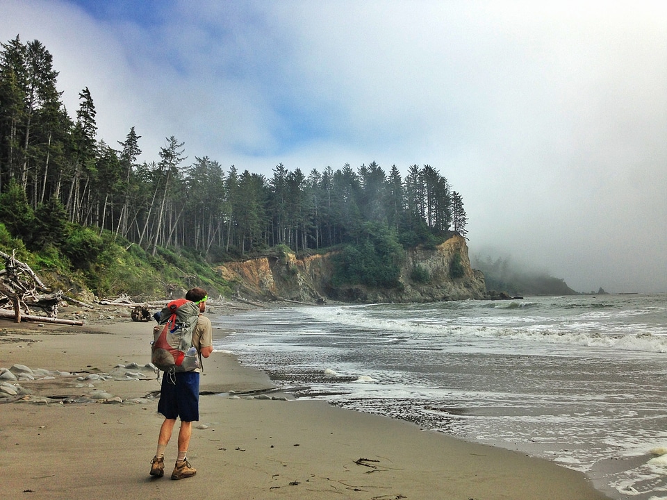 Coastline coast beach