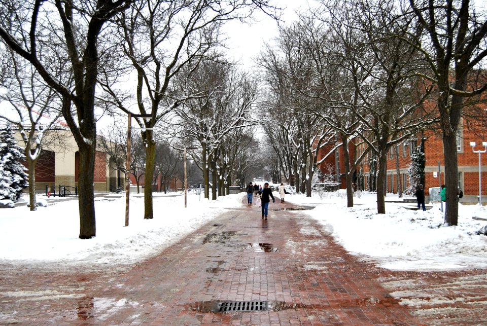 Winter - Reynolds Walk