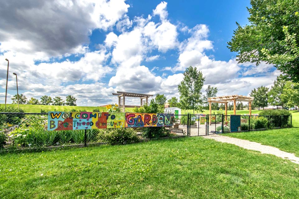 #Lovely day in #Brentwoodyyc 😎 #calgary #yyc #calgaryrealestate #yycrealestate #yycre #realestate #realtor
