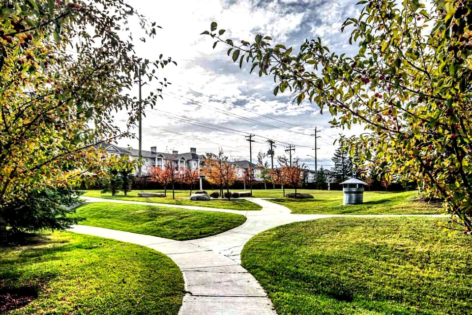 #captured in the #beautiful #community of #evergreenyyc #calgary #calgaryparks #yyc #realestate #realtor #photography #dslr #captureyyc