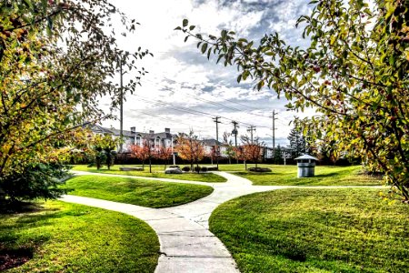 #captured in the #beautiful #community of #evergreenyyc #calgary #calgaryparks #yyc #realestate #realtor #photography #dslr #captureyyc