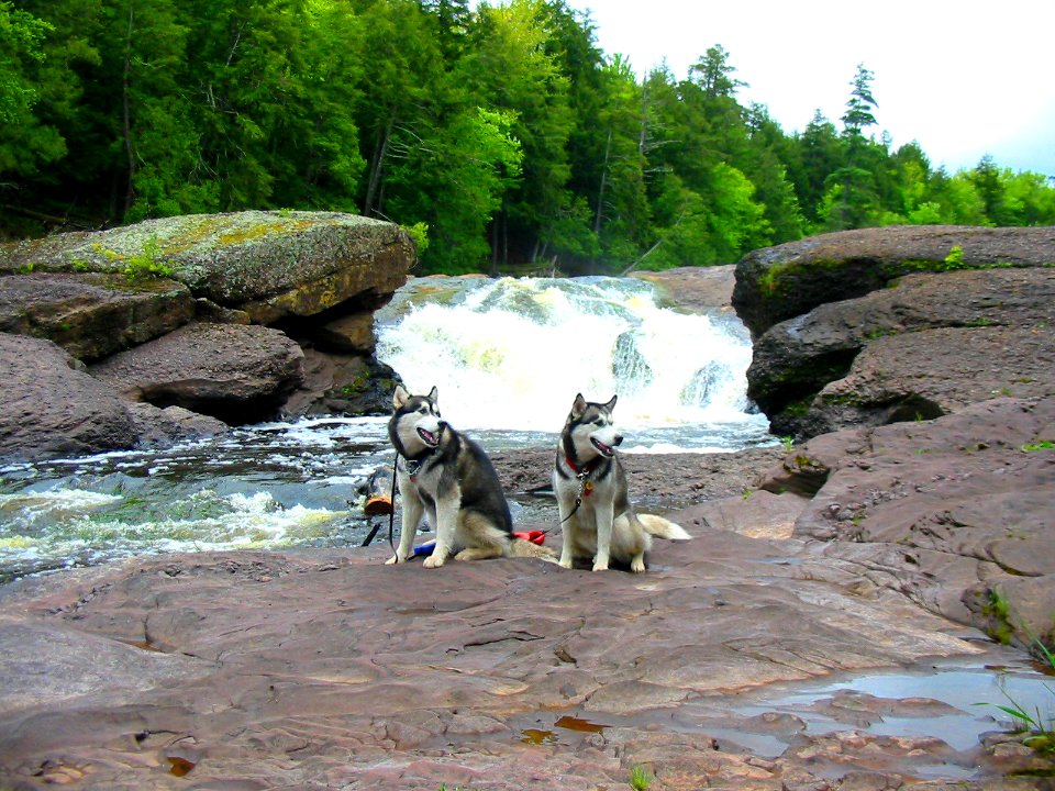 sandstone falls with dogs