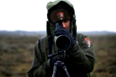 Ranger looking through spotting scope