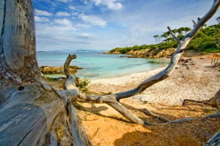 Ile de Porquerolles, France photo