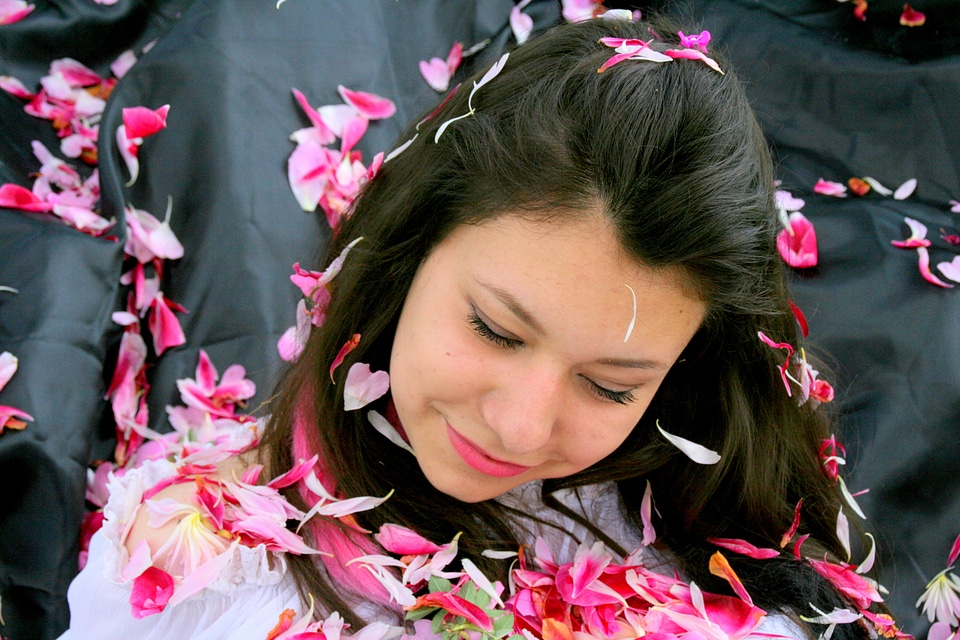 Petals pink beauty