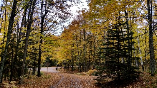 Golden Lake Campground