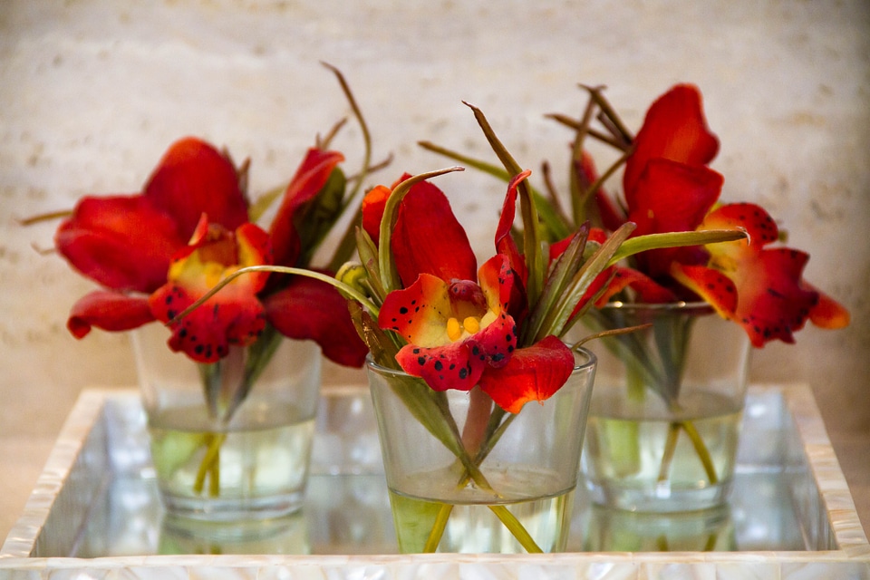 Flower red bouquet