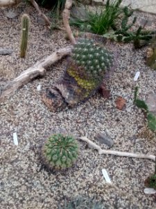 Botanical Garden