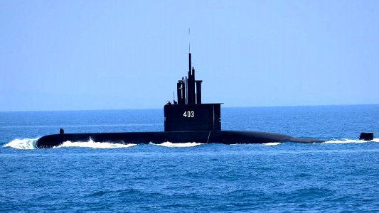 RE: The South Korean Chang Bogo Submarines