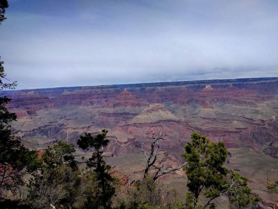 Grand Canyon