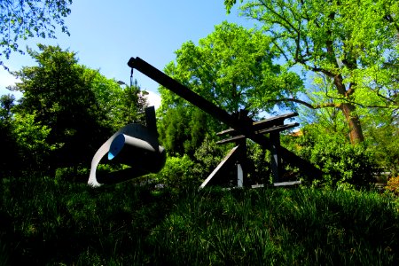 IMG 0462.JPG