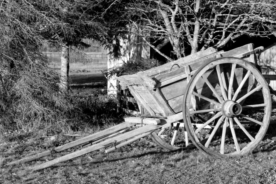 Old Cart in black and white