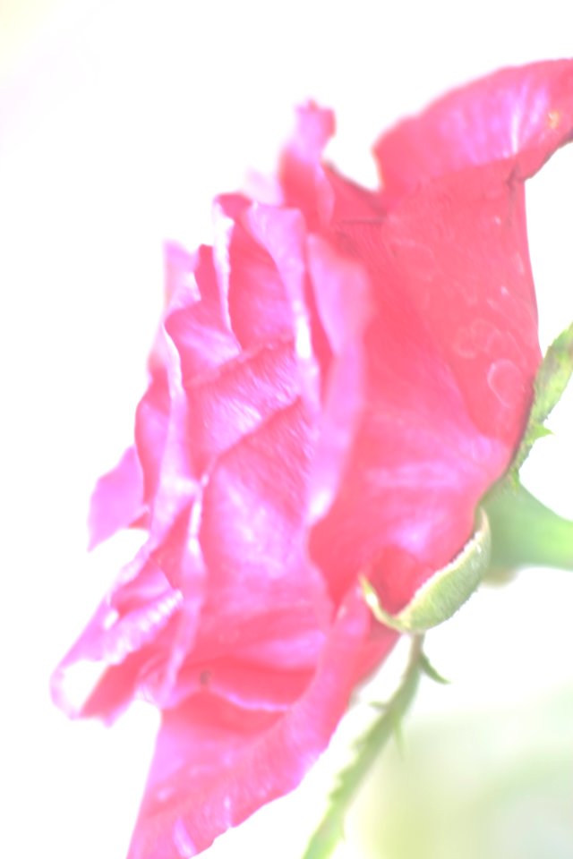 DSCF2874