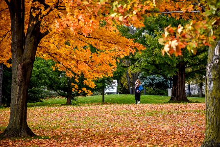 Johnston Green