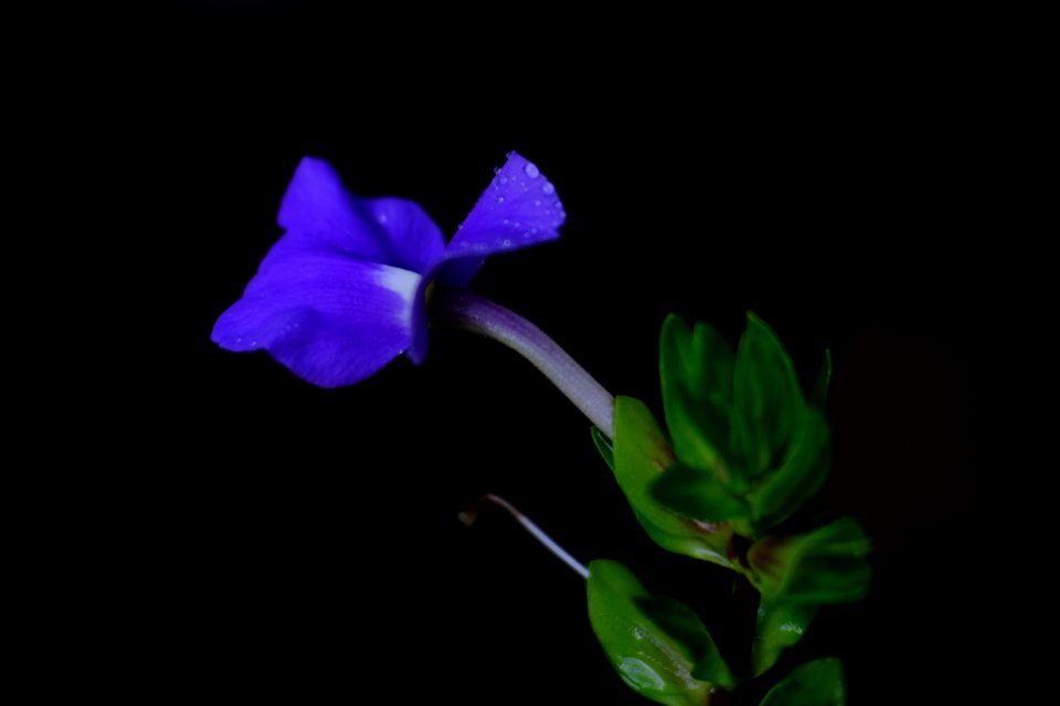 DSCF2858