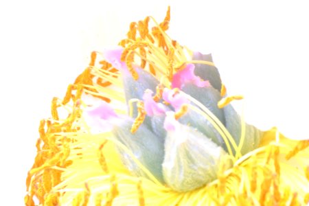 DSCF5759
