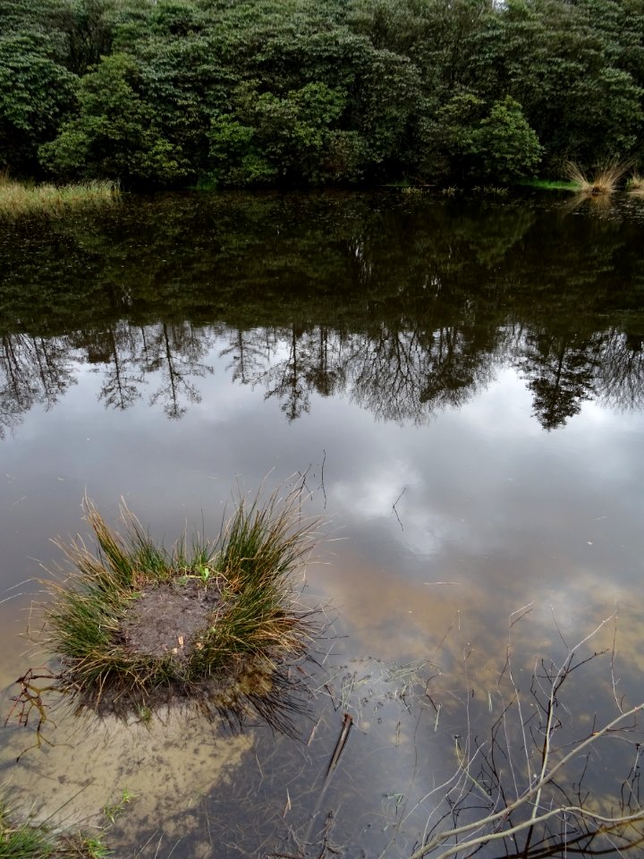 Donker water 1