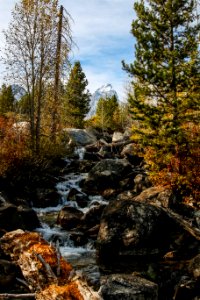 Taggart Lake
