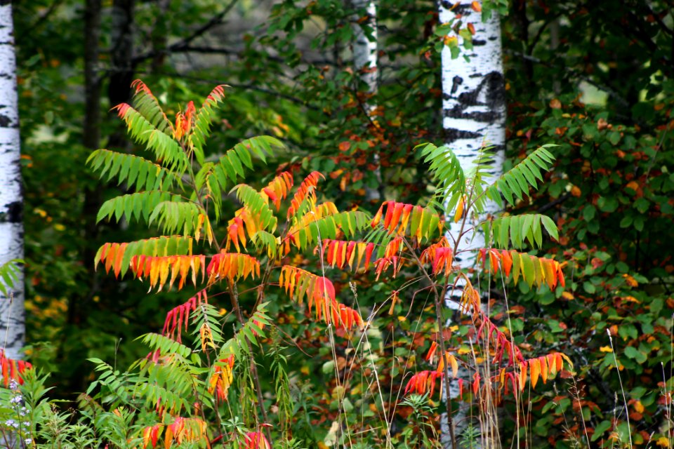 170918-FS-Ottawa-RE-020