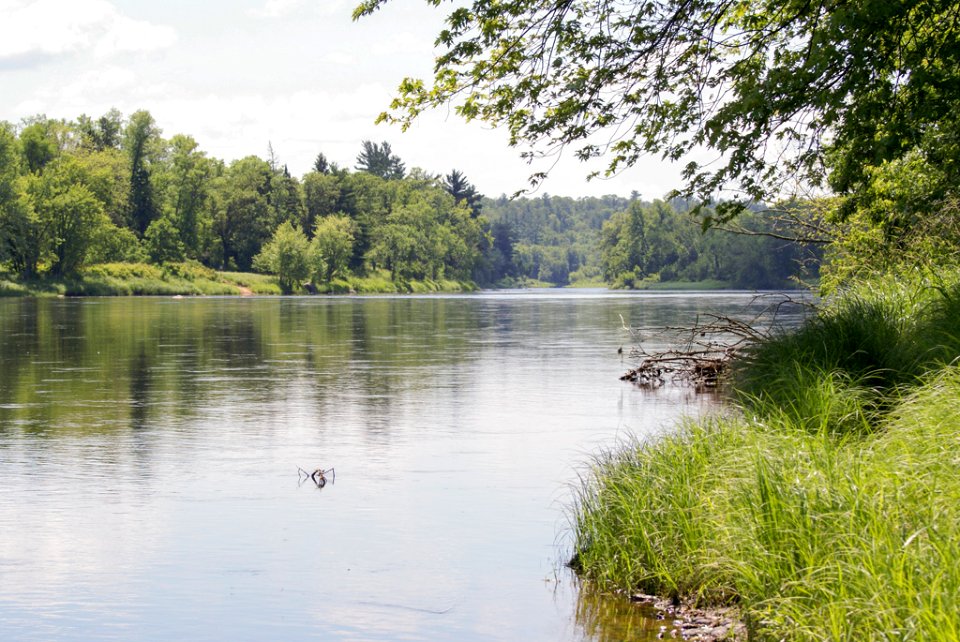 VanTatenhoveJ SnakeRiverLanding DownstreamView 20150623 vpp