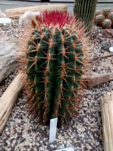 Botanical Garden