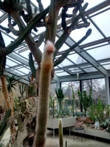 Botanical Garden