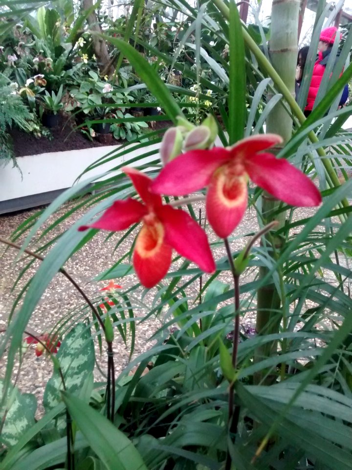 Botanical Garden