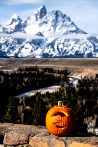 Snake River Overlook Carved Pumpkin