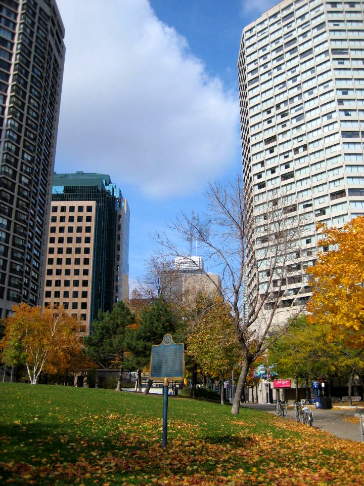 Toronto City Parks