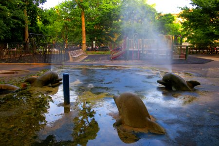 IMG 0215.JPG