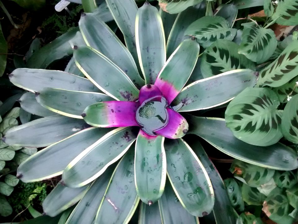 Botanical Garden