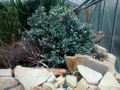 Botanical Garden