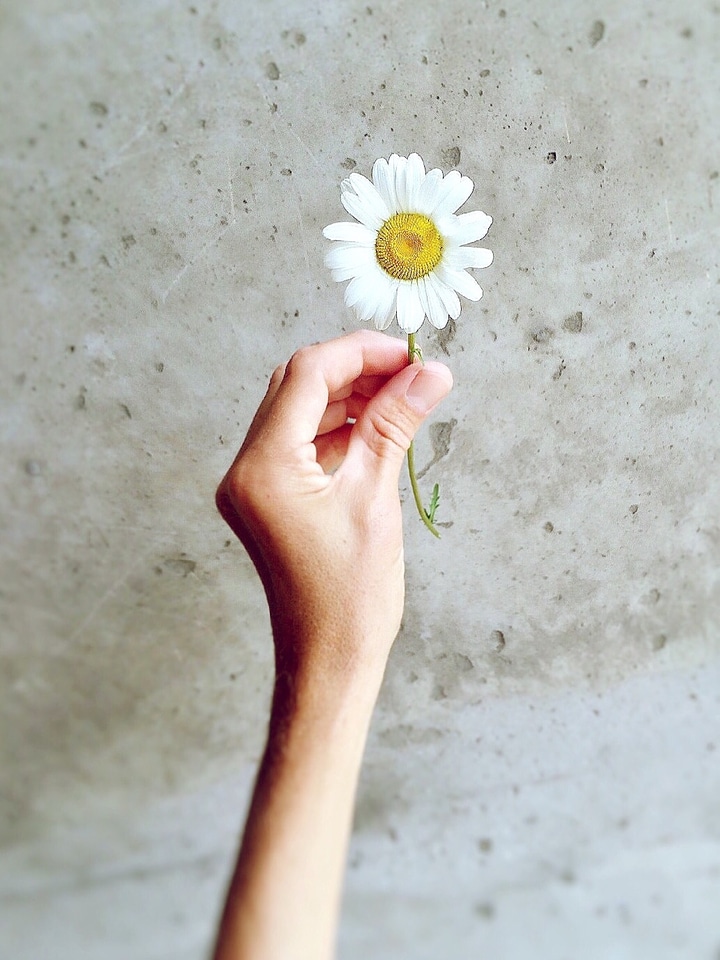 Summer flower hand