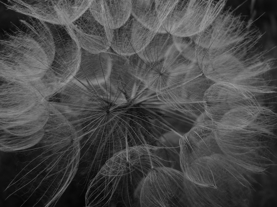 Close background dark