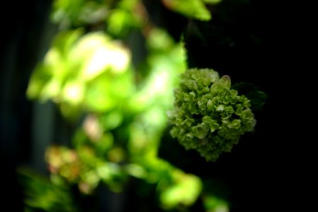 DSCF9840