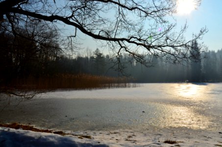 Mlýnský rybník