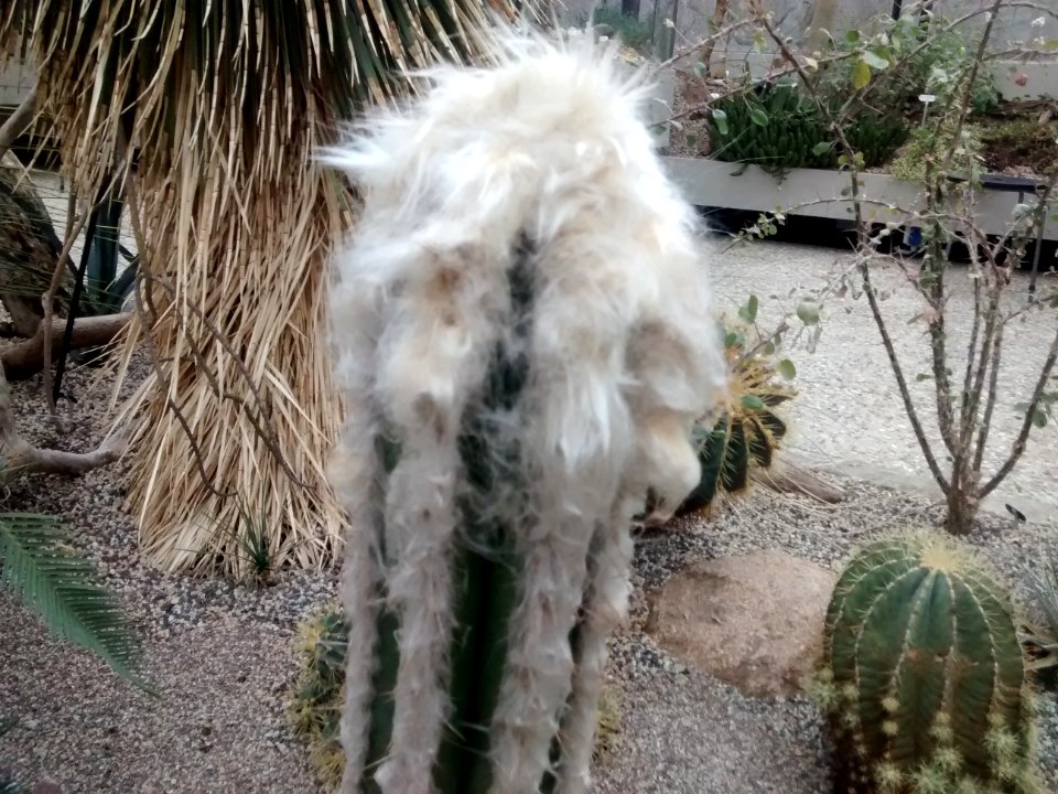 Botanical Garden