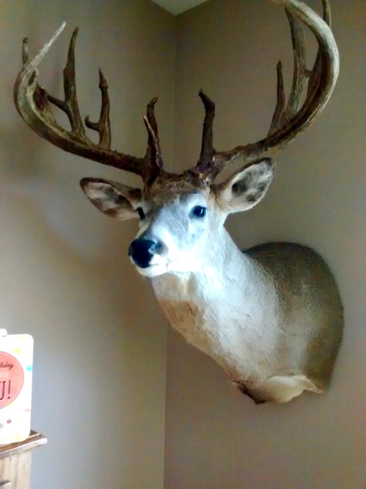 Hunter's Trophy