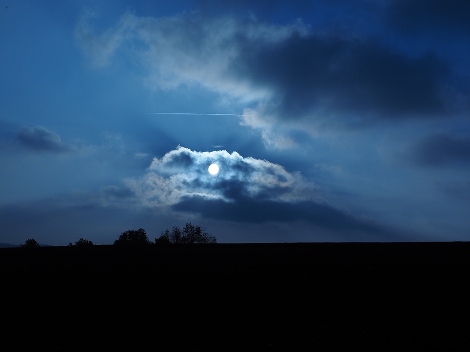Blue blue hour field