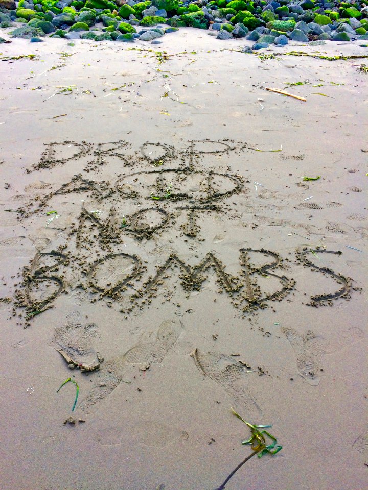 Drop Acid not Bombs