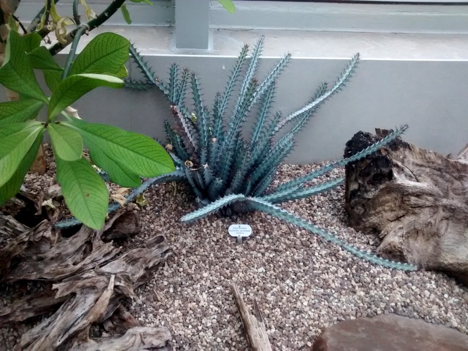 Botanical Garden