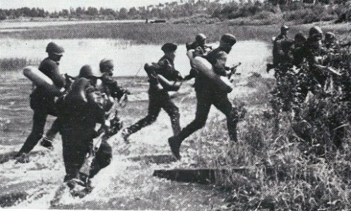 Ofensiva sovietica en el Vousksi, Finlandia