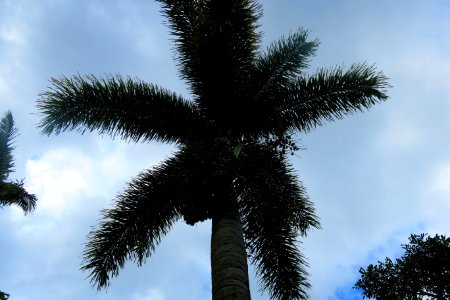 IMG 0855