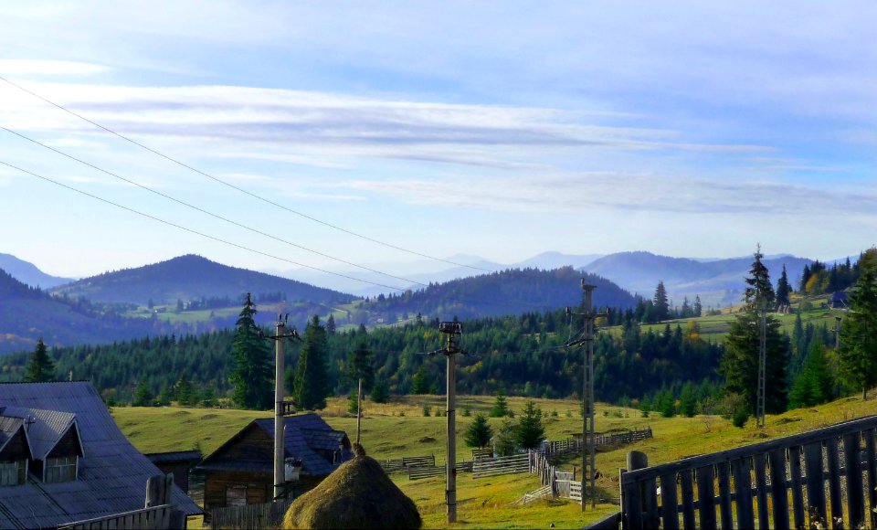 Woods and Mountains view