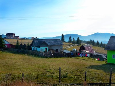 Rural view