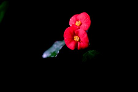DSCF3922