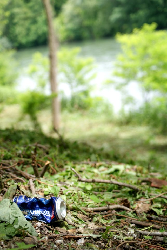PIANTA LA LATTA CHE L’ERBA CRESCE (di Cristina Maroglio)
