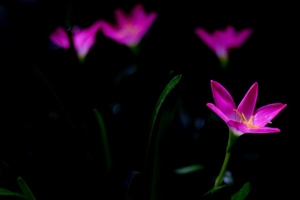 DSCF1766