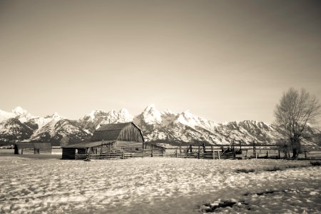 Snow at Moulton Barn